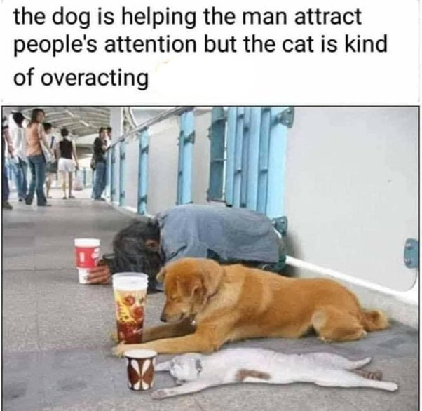 image.jpeg.b5729212da9bd998daf526cc8c2ebc55.jpeg