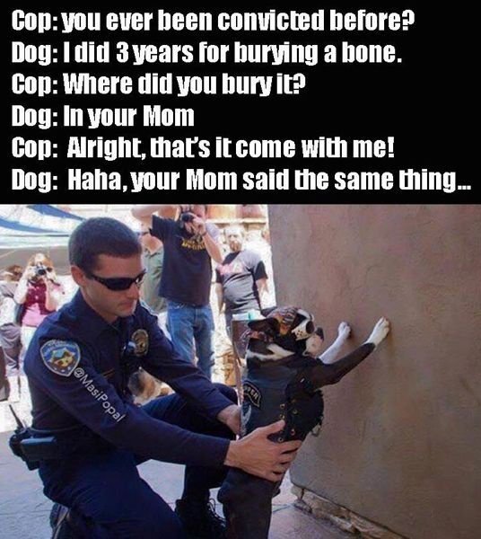 image.jpeg.e9e714c5049496f7a40f24a3b2b7a723.jpeg