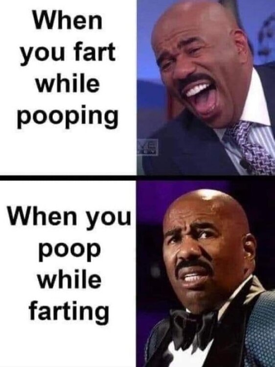 image.thumb.jpeg.ba39a5eba06d3e524a91fc8949d8c0bd.jpeg