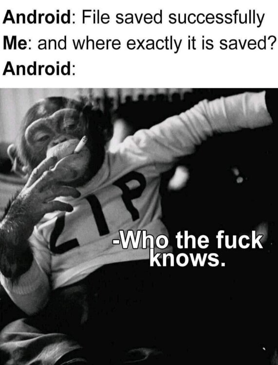 xfm4vfbthvc91.thumb.jpg.31e8dea04493983b8da26d6a097c2bea.jpg