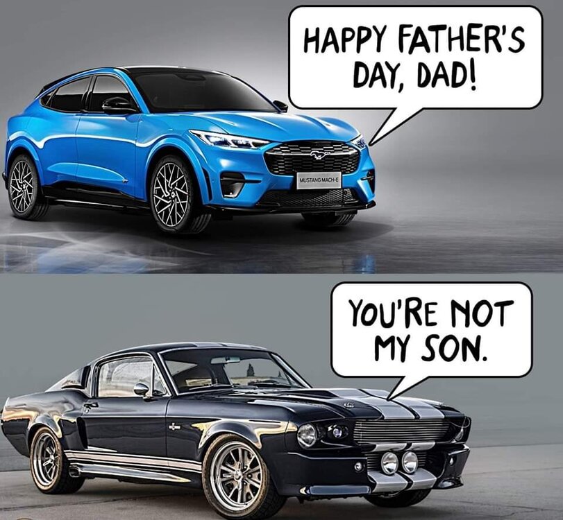 FB_IMG_1661966456487.jpg