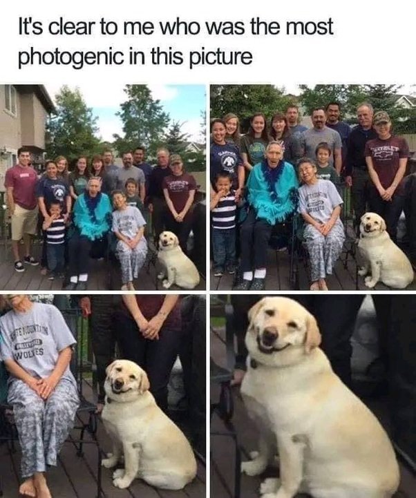 image.jpeg.741f4f15a3193140c35f60ad0dd3cfcb.jpeg