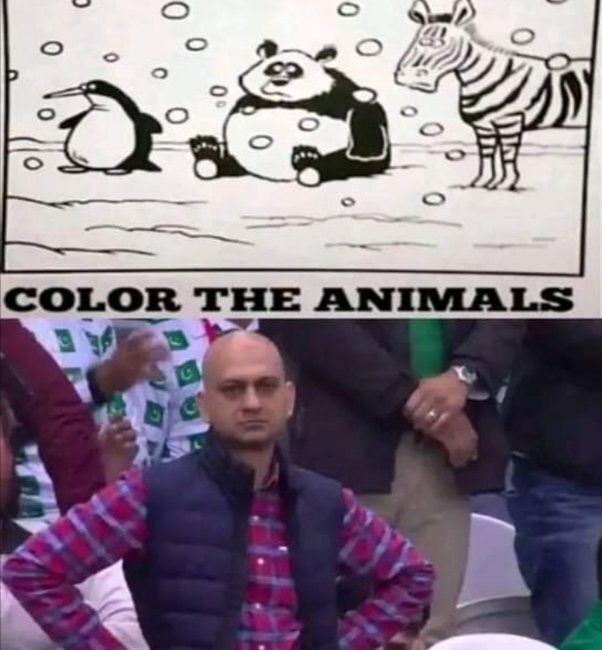 image.jpeg.b7a0442c45e6133df9e03a65305e6742.jpeg