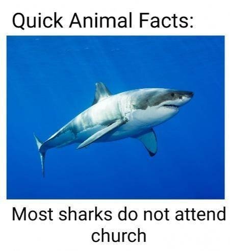image.jpeg.b974439090f054485c6d9641325da11d.jpeg