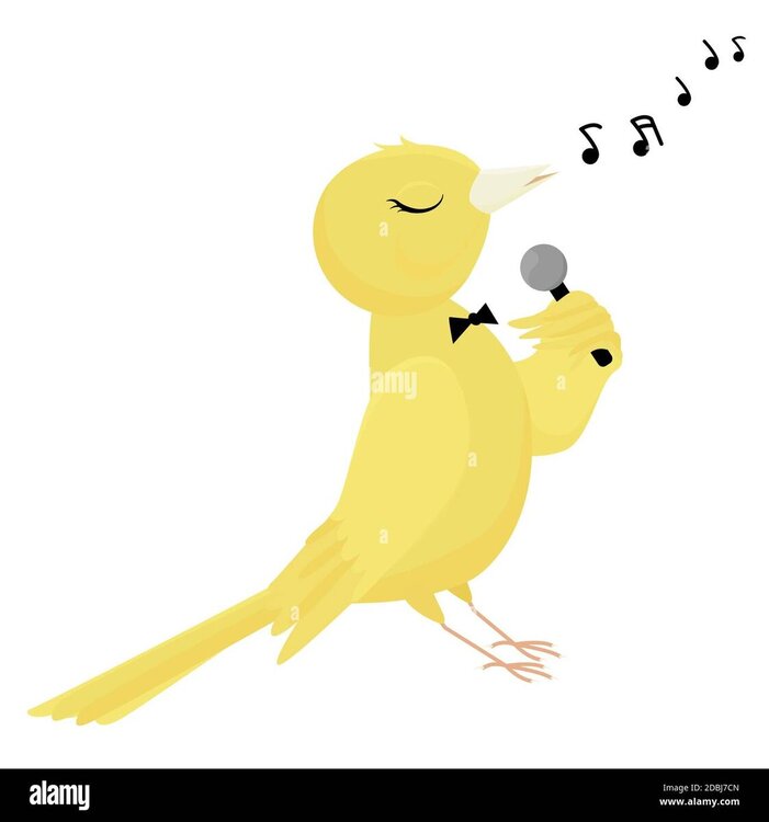 singing-canary-isolated-on-white-background-vector-illustration-of-a-pet-cartoon-yellow-bird-with-microphone-2DBJ7CN.thumb.jpg.cd42ad0bd4dafcd6cb0d74ca3f9b84d9.jpg