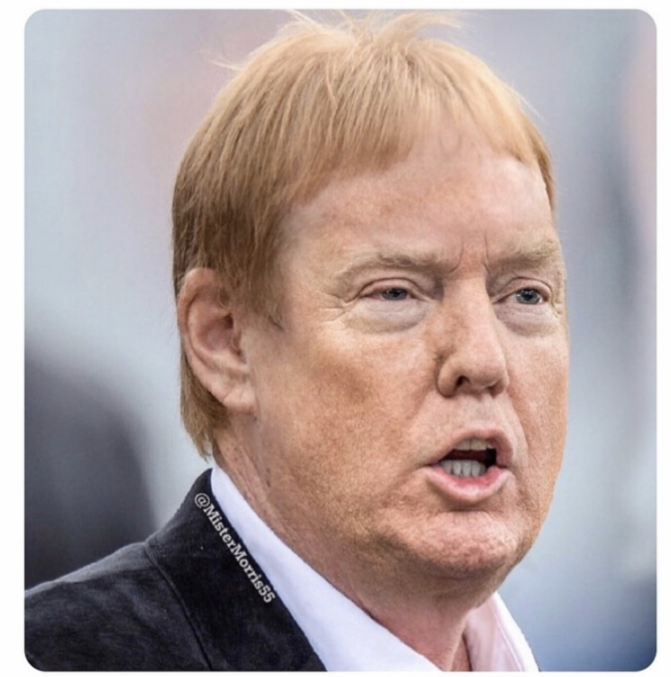 when-you-gotta-cut-your-own-hair-donald-trump-mark-davis-meme.png