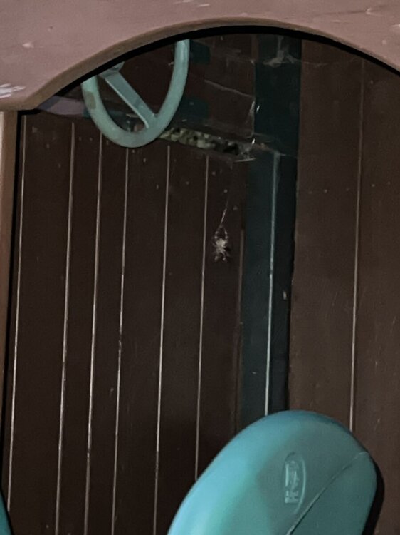 D185720D-9908-47DA-A4BC-17902DFF8E50.jpeg