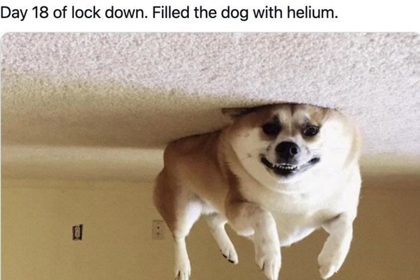 image.jpeg.4c097f0af50b6438153612b55c867403.jpeg