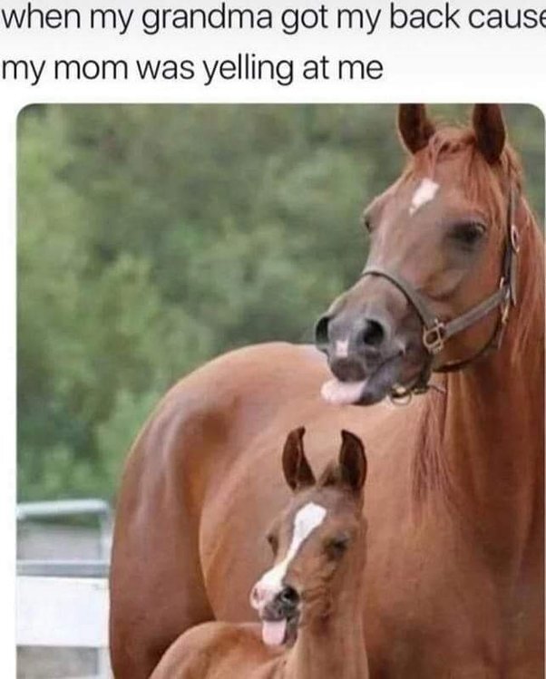 image.jpeg.5a53eeb8e2c372ff9a01e8544e521e83.jpeg