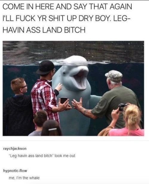 image.jpeg.956bd67c7959ea4ac660472387a4c8a0.jpeg