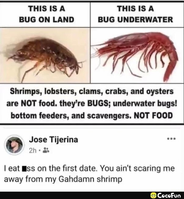 image.jpeg.a6cd4ae79e68cb3cc2b8ce4180553b4c.jpeg