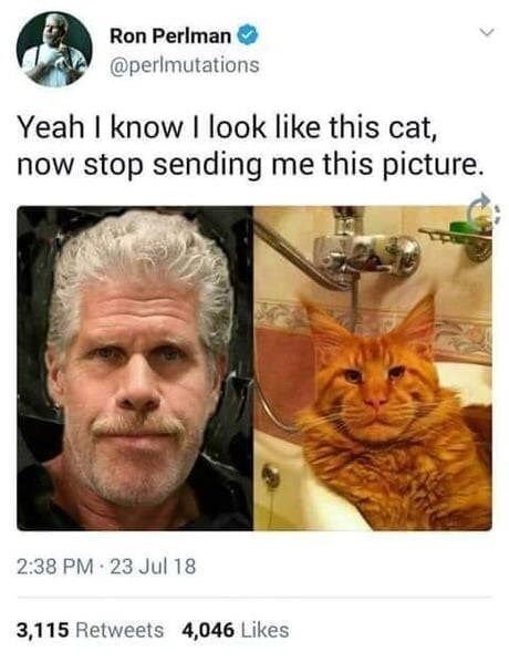 image.jpeg.c7d486cf33fbfaa7ebee11ed33c92dac.jpeg