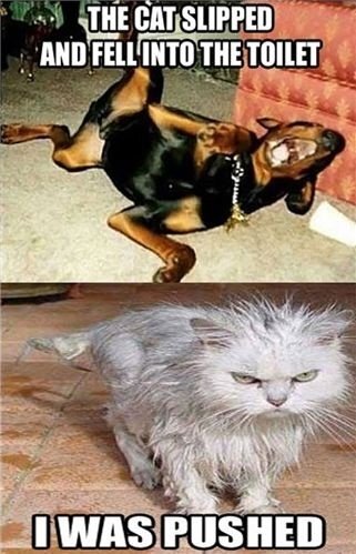 image.jpeg.d563baa96530bd32d3d9f4352c8ddf9c.jpeg