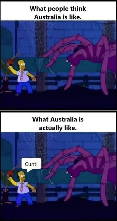 image.thumb.jpeg.b824e5e11af08a5ba48f0baff2e62eb3.jpeg