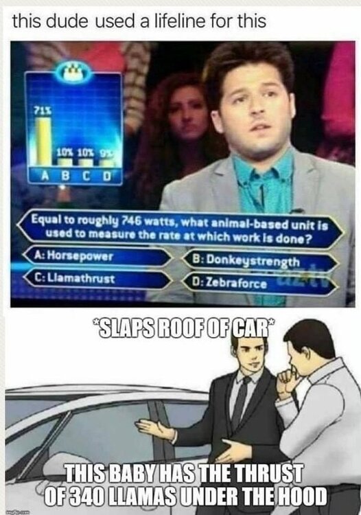 image.thumb.jpeg.cac58044be45f87087db5d6fa805d288.jpeg