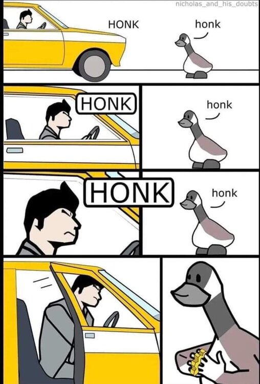 received_782739903046278.jpeg