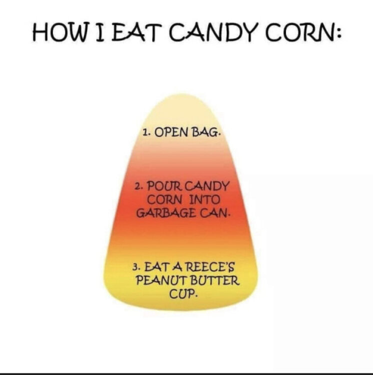 2337441E-D6BF-49CA-884D-F5858E44BBBD.jpeg