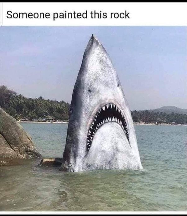 image.jpeg.101a931ae32645e777a9d952c0a2c1e7.jpeg