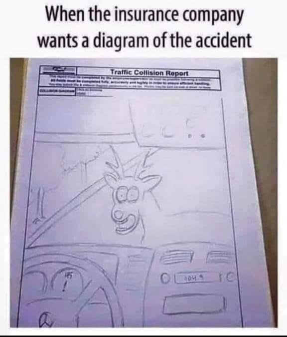 image.jpeg.15a4ef42bec0e870c4b1b70df80f9a9b.jpeg