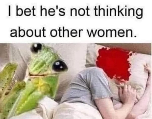 image.jpeg.3216eb2b2340f674883764f18310f11a.jpeg