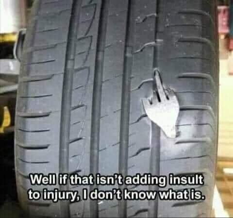 image.jpeg.477f5e0ac82b0afd85a57f9d0fc4790d.jpeg