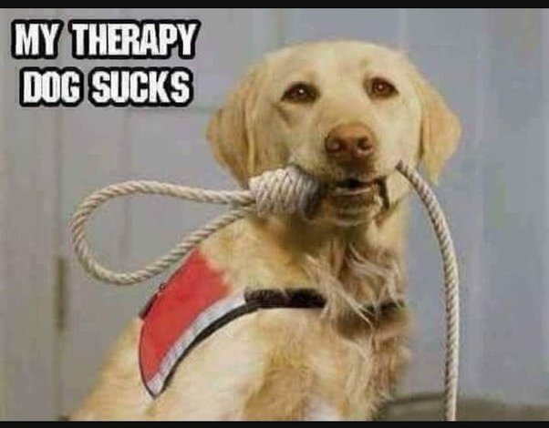 image.jpeg.8dd56c9404ef1b7fe3a718d0cdfa546c.jpeg