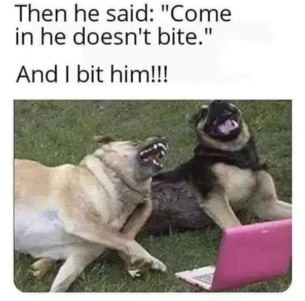 image.jpeg.9bb760e34849359b55ea5a36a997b0b4.jpeg