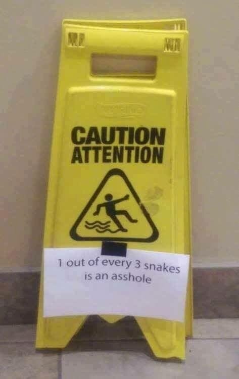 image.jpeg.daea88eeaa6b9ccf02bc0e9d2d7b6dcf.jpeg