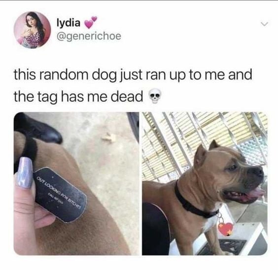 image.jpeg.f9823bf0c6a8e878aaa713990be2f9ab.jpeg