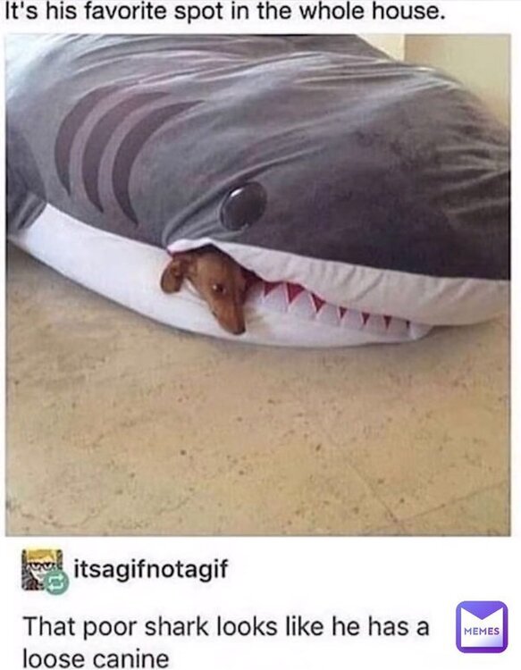 image.thumb.jpeg.33398d8f737db6428894ba96b5929983.jpeg