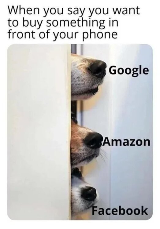 image.thumb.jpeg.8bf2ea0cfd2c410e3bba0f2fc62835e4.jpeg