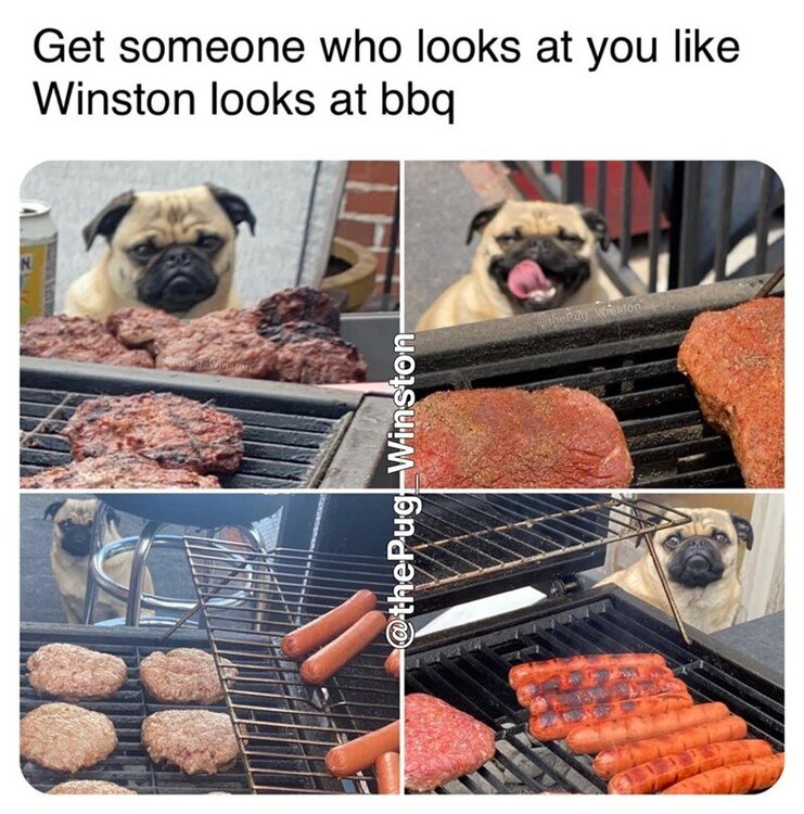 image.thumb.jpeg.d76c3cdd13791211750f972464acee99.jpeg