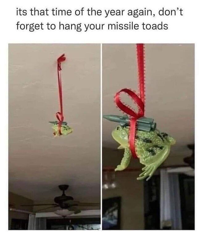 FB_IMG_1668911343284.jpg