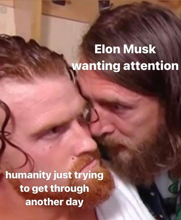Musk.jpeg