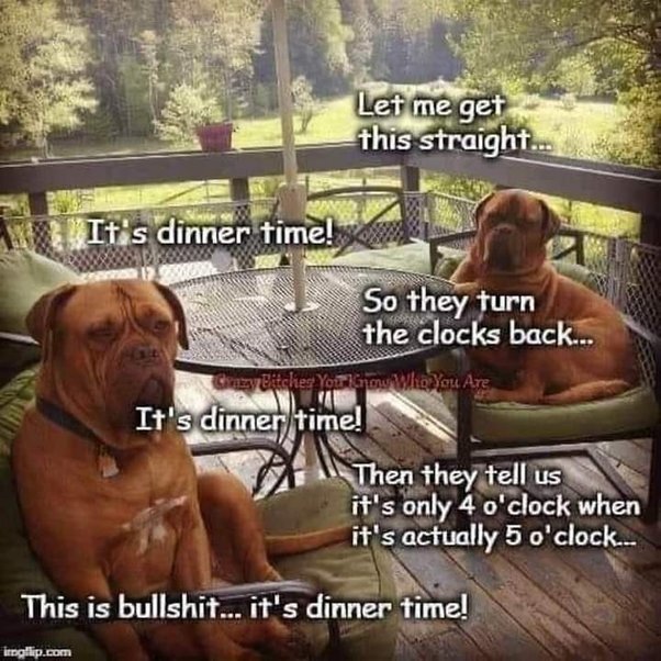 image.jpeg.0be5c9cb2fcdbe004d5d6adfe9d8d17b.jpeg