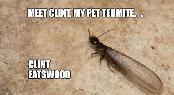 image.jpeg.9e2247b60b4a34b49ec68fe930ac3d62.jpeg