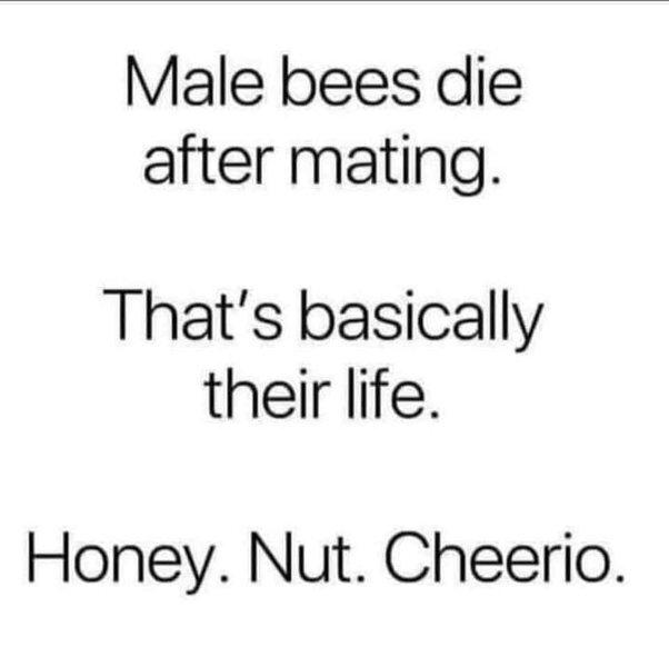 image.jpeg.f56fffc8f78d1bf59cee555796f208a1.jpeg