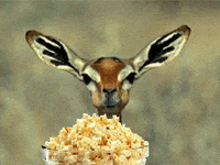 image.png.4e96d875e8270e44f3b9282bfc2409de.png