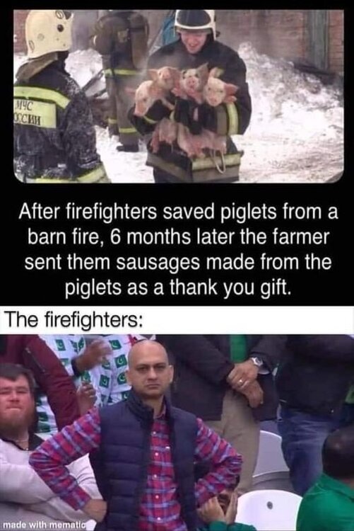 image.thumb.jpeg.b31ca25a5cb7d29439e71cd3aeb7c941.jpeg