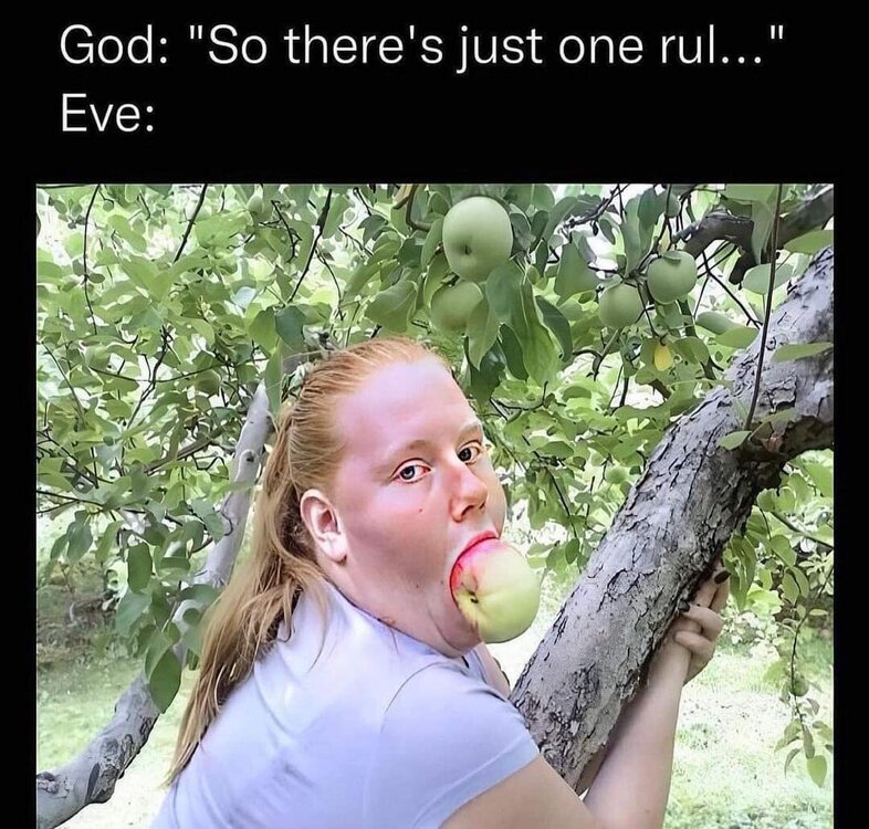 FB_IMG_1670465459548.jpg