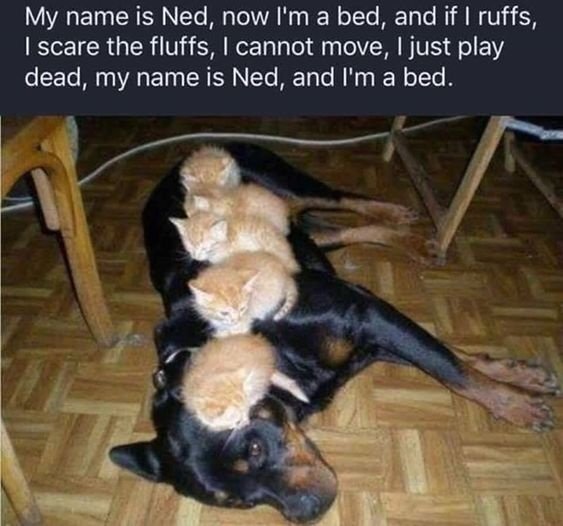 image.jpeg.0eebd10d41d135b0d7d0c02ccdf6a1bc.jpeg