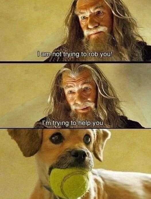 image.jpeg.2305d7a6e6d63cf7038020ce297f43eb.jpeg