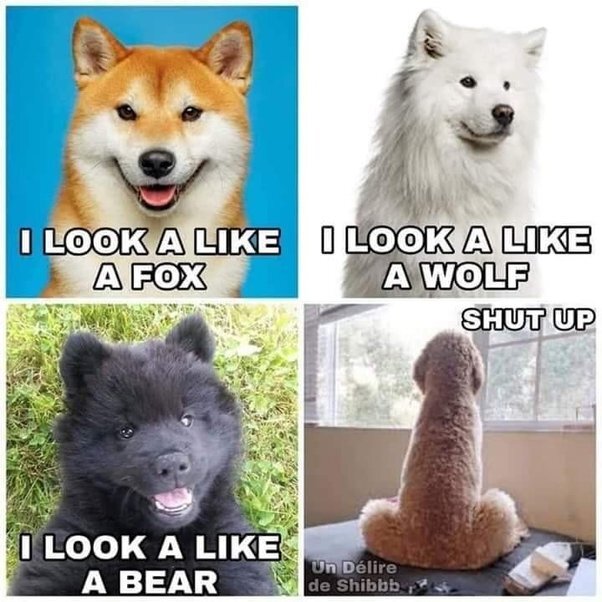 image.jpeg.25a1165a78865d7d5fc1fc1281f41951.jpeg