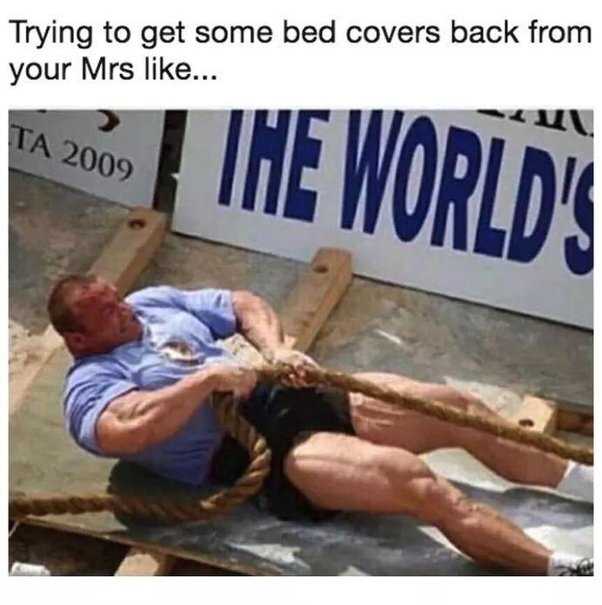 image.jpeg.278da0f689c81d3305fc08fc3ad480bf.jpeg