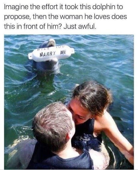 image.jpeg.88834d9c5b19e9e9d1f3f6a694bfc757.jpeg