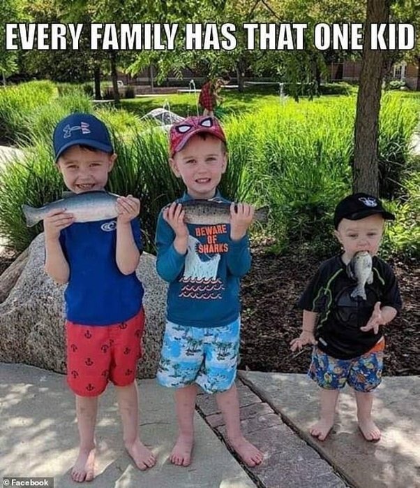 image.jpeg.91124aa96ecfbde7f795dd78f7b5878a.jpeg