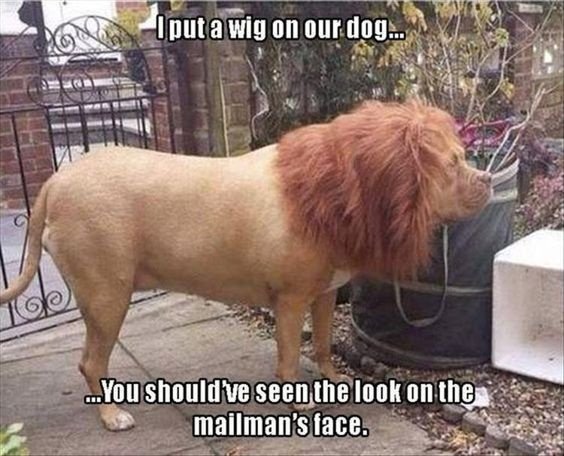 image.jpeg.922a20f35b4ade64b0336cad71a5b3e4.jpeg