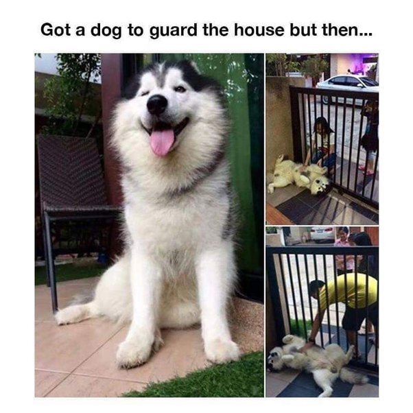 image.jpeg.ccdf06e76bfdf4fbb3cc283c52f07288.jpeg