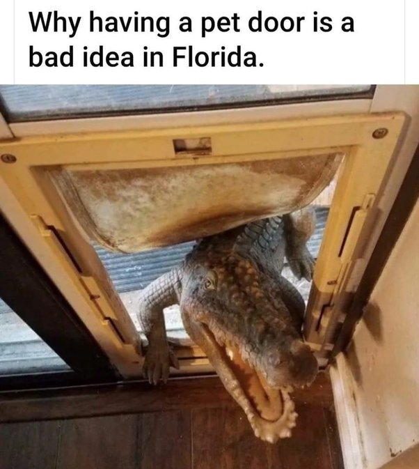 image.jpeg.e105cf8d590fdb8debb5ed3228eb39a5.jpeg