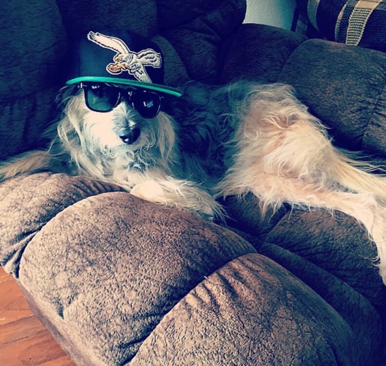8C579367-4F7D-4398-8AF5-8A0095F78AEA.jpeg